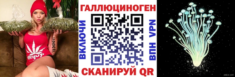 ОМГ ОМГ маркетплейс  Зубцов  Псилоцибиновые грибы MAGIC MUSHROOMS 