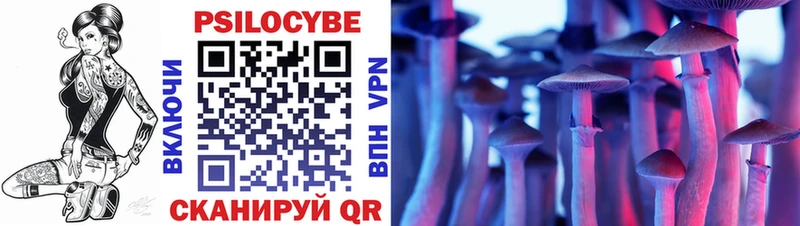Псилоцибиновые грибы мицелий Зубцов